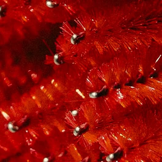 Lash Membership at Fina Beauty Bar in Cicero, IL